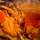 detail of image 0012
