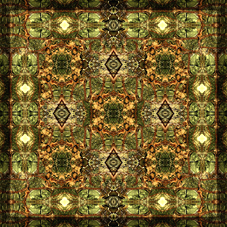 00532