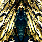 0055detail