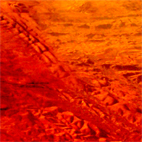 detail of image