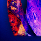 click here for more detailed images