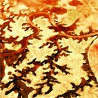 0947_5x5_72.jpg