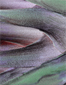 Palm Tree Perth - Detail from image